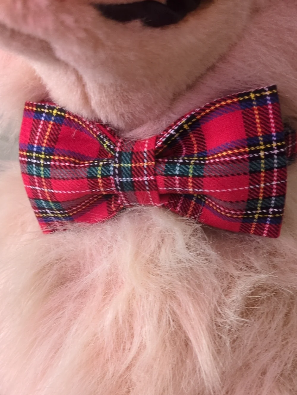 Red Plaid Bowtie Dog Collar